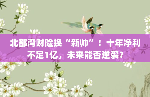 北部湾财险换“新帅”！十年净利不足1亿，未来能否逆袭？