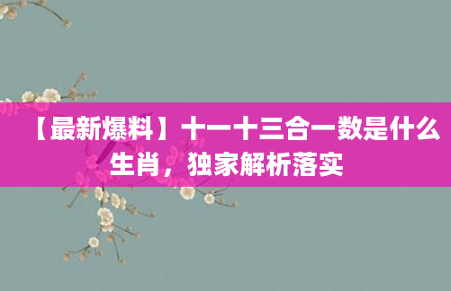 【最新爆料】十一十三合一数是什么生肖，独家解析落实