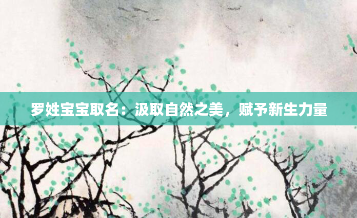 罗姓宝宝取名：汲取自然之美，赋予新生力量