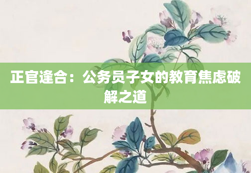正官逢合：公务员子女的教育焦虑破解之道