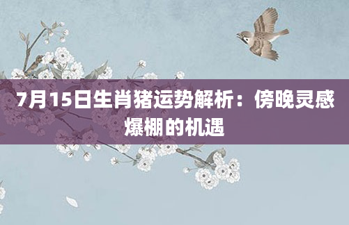 7月15日生肖猪运势解析：傍晚灵感爆棚的机遇